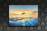 Free in the Sea large size print 70x100cm