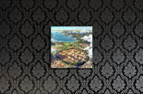 Neubrandenburg - Luftbild QUADRATISCH 50x50cm
