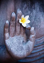 Selbstbestimmte Aufstellung und Meditation in der Lebensschule Moser Jurte