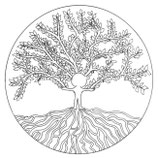 Systemische Selbstreflexion 26. Februar.- 01. März 2026