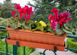 Linea Sofi