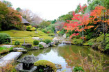 京都6days 12月9日①京都西(妙心寺) W1(加羅)