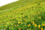 第2回「高山の気候と安全管理」