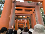 9/18 東寺・東福寺・伏見稲荷大社コース【2023関西7days】