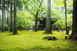 京都6days 12月12日②京都北(大原) N2(太田)