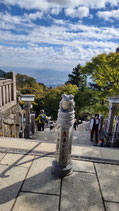 2025年5月1日(木）　大山ハイキング教室
