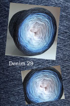 Denim 29