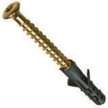 Sockelleistenschraube 4x40 vermessingt, Linsensenkkopf, Torx, mit Nylondübel ø 5 mm vormontiert
