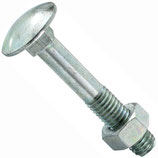 Flachrundschraube (Schlossschraube) M5x55 verzinkt, inkl. Sechskantmutter