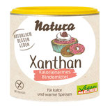 Xanthan 100g