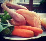 Suppenhuhn