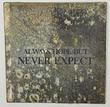 Kunst Magneet : Always hope but never expect