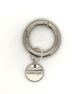 Schnappring u. Logocharm silberfarben (486)