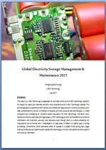 Global Electricity Storage Management and Maintenance Market