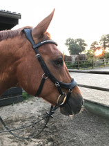 UPH Anatomic hoofdstel DeLuxe