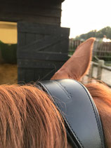 UPH Anatomic trenshoofdstel Supreme