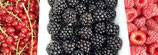 Fruit bio - wekelijks pakket