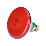 Infrarotsparlampe 175W Rot – energiesparend für Stall & Aufzucht