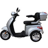 RHEHAG 1500 GLE silber metallic mit Beckengurt für Helmfreies fahren