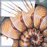 Matinée "Coffee Stain" online, So., 2. August 2026, 10-14 Uhr