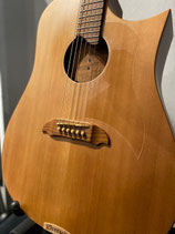 Riversong Guitar Tradition Canadian PSE gebraucht mit Koffer
