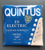 Quintus E-Gitarrensaiten