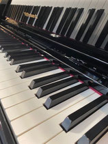 Roland Digitalflügel GP 609 s/p gebraucht