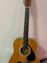 Westerngitarre FG 312 - 12saitig gebraucht