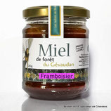 Miel de framboisier des forêts du Gévaudan
