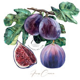 Cours atelier 3 heures pour 2 personnes