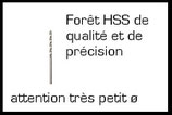 Forêt HSS