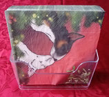 Set, bestehend aus 1 x Weihnachtsdecke, 1x 20er Servietten und 4 Pappteller