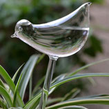 BEWATERINGSVOGEL