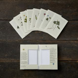 SET/8 KAARTEN MET LENTE MOTIEVEN