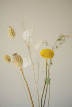 KAART NATURAL FLOWERS