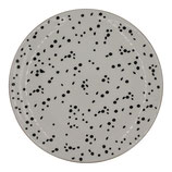 Plate dots large