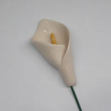 Calla