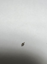 MST 523 -  Teil 6398 - Trieb für Tageskorrektur - Gebraucht / Used - Guter Zustand / Good Condition