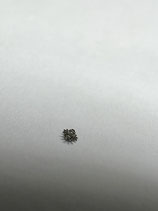 FP (Frederic Piguet) 950,951 etc. - FP Teil 33.011 - Teil 2543 - Datum zwischenrad - NOS (New old Stock)