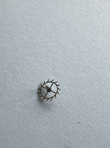 Omega 12.6 - Teil 705 - Ankerrad - NOS (New old Stock)(ASP)