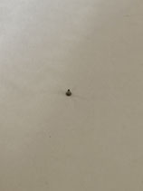 Jäger LeCoultre 839 - Teil 240 - Viertelrohr - (gebraucht - guter Zustand - used - good condition)