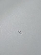 AS 1475,1568,1930,1931 - Teil 430 - Sperrkegelfeder - (gebraucht - guter Zustand - used - good condition)
