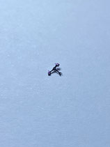 Universal Geneve 1106 SC - Teil 710 - Anker - Gebraucht / Used - Guter Zustand / Good Condition