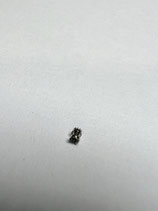 FP (Frederic Piguet) 950,951 etc. - FP Teil 31.121 - Teil 407 - Aufzugtrieb - NOS (New old Stock)