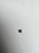 Omega 9300,9900 etc. (Co-Axial-Chrono) - Teil 407 - Omega Teil 7229300A31121 - Aufzugtrieb - leicht gebraucht - guter Zustand - lightly used - good Condition