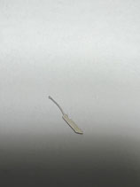 Cyma/Tavannes 425 etc.  - Teil 435 - Kupplungshebelfeder - NOS (New old Stock)