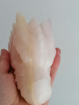 rosa-gelber Wasserjade Drache-Narunja-
