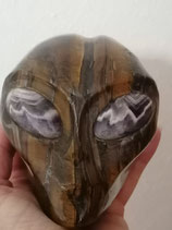 Tigerauge Starbeing -Landuc-