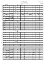 Emilie Mayer: Tonwellen, Walzer für Orchester