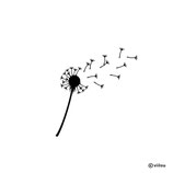 Wandtattoo PUSTEBLUME SILHOUETTE